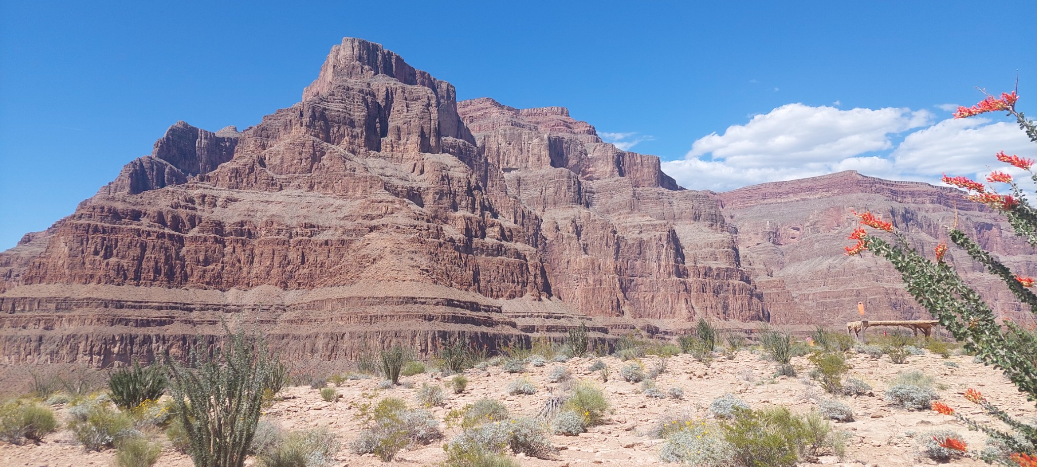 Rode rotsformaties in Red Rock Canyon bij Las Vegas